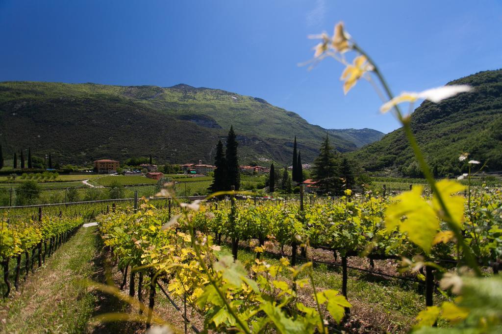 Agriturismo Maso Lizzone Dro Exterior foto